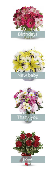 Santa Rosa Flower Shop 🏵️ Feb 2026