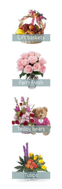 Santa Rosa Flower Shop 🏵️ Feb 2026