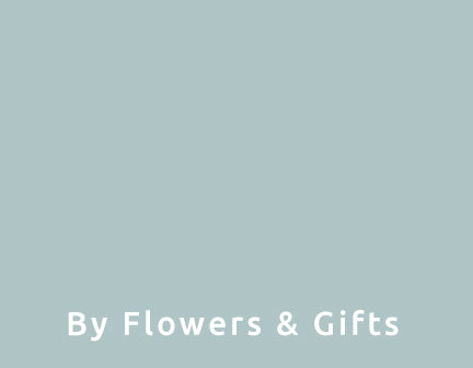 Santa Rosa Flower Shop 🏵️ Feb 2026