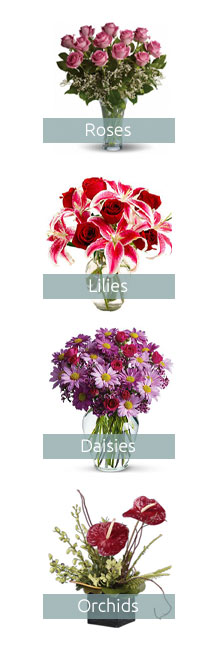 Santa Rosa Flower Shop 🏵️ Feb 2026